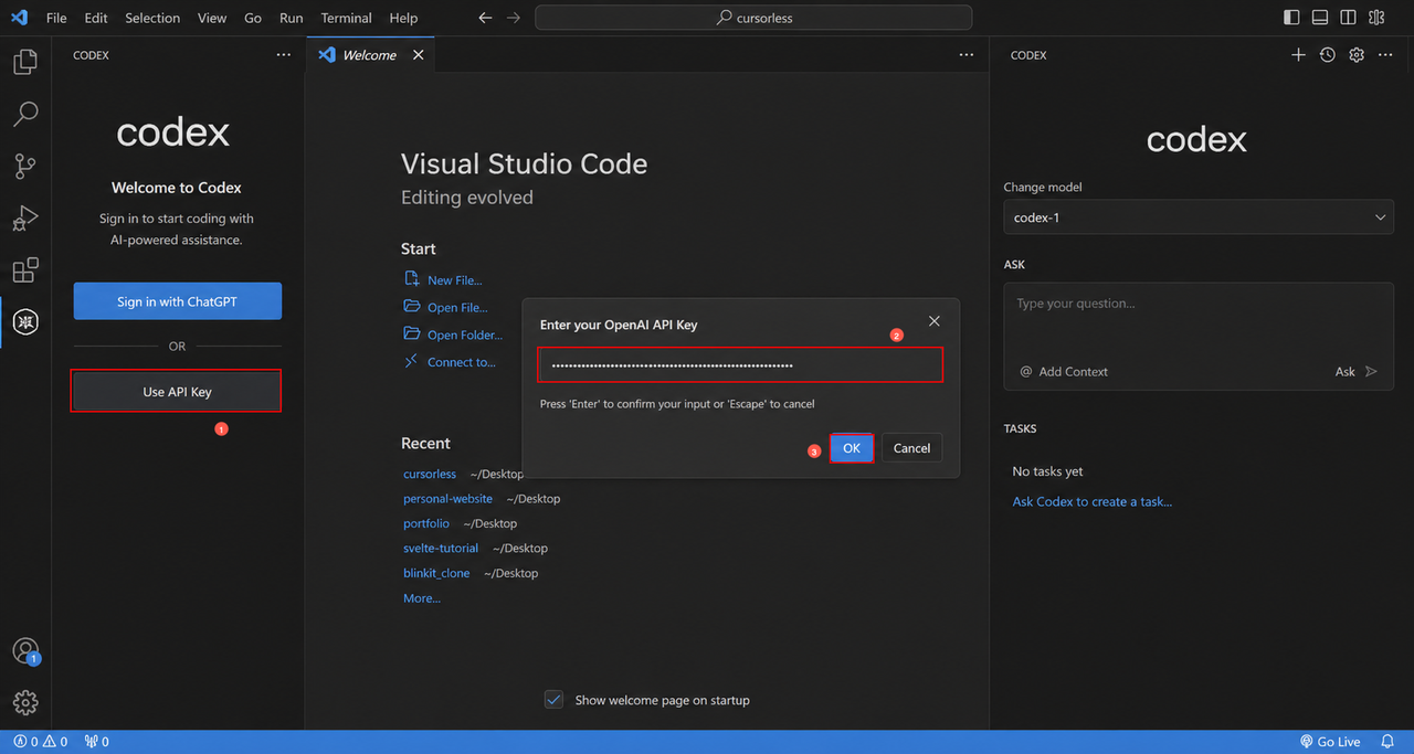 设置 Codex API Key