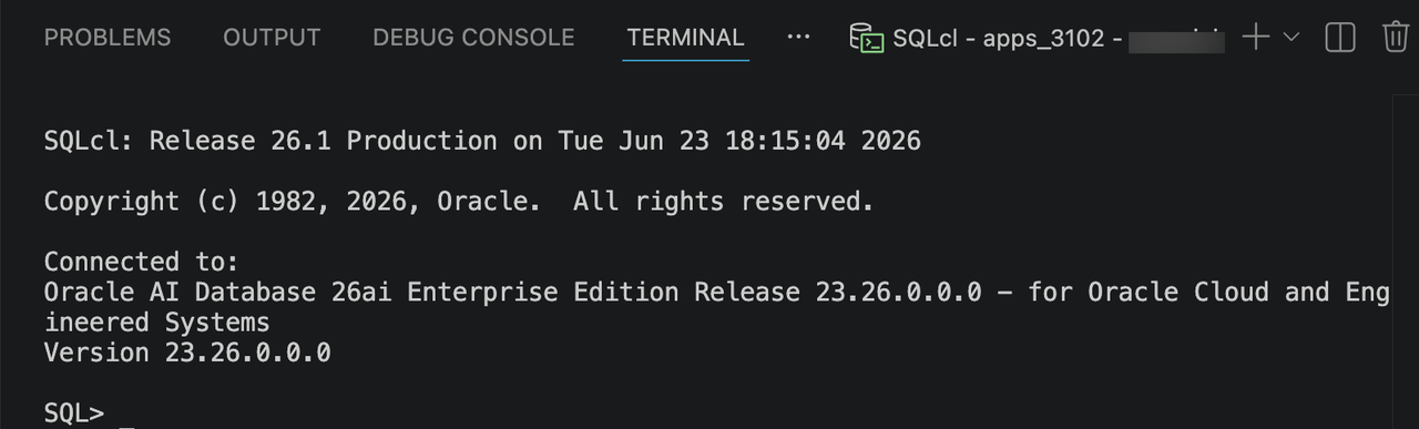 已连接的 SQLcl 终端